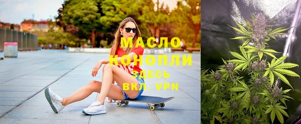 крисы Алексин